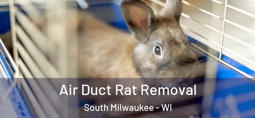  Air Duct Rat Removal South Milwaukee - WI