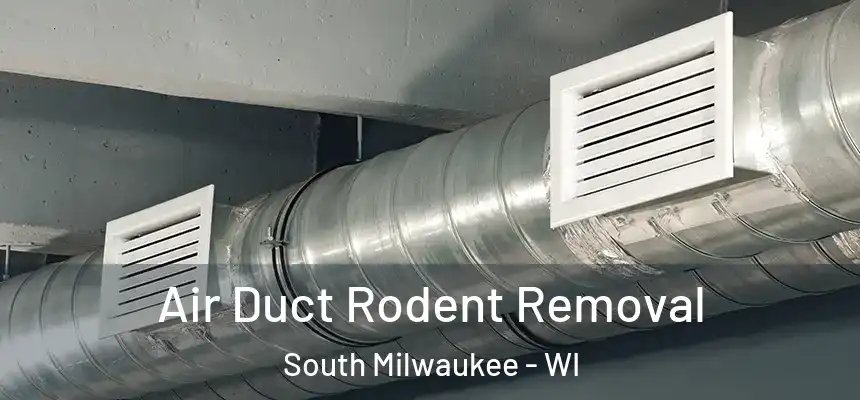  Air Duct Rodent Removal South Milwaukee - WI