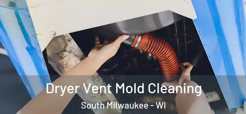 Dryer Vent Mold Cleaning South Milwaukee - WI