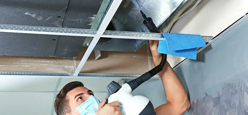 Our Air Duct Rodent Removal Services in South Milwaukee, WI