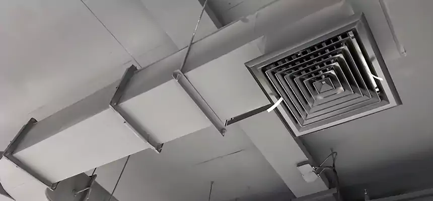 Restorative Allergy Relief Vent Cleaning – Coil, Blower & Housing Detail in South Milwaukee