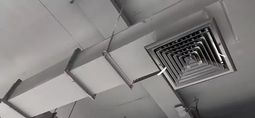 Our Rodent Droppings In Vents Services in South Milwaukee, WI