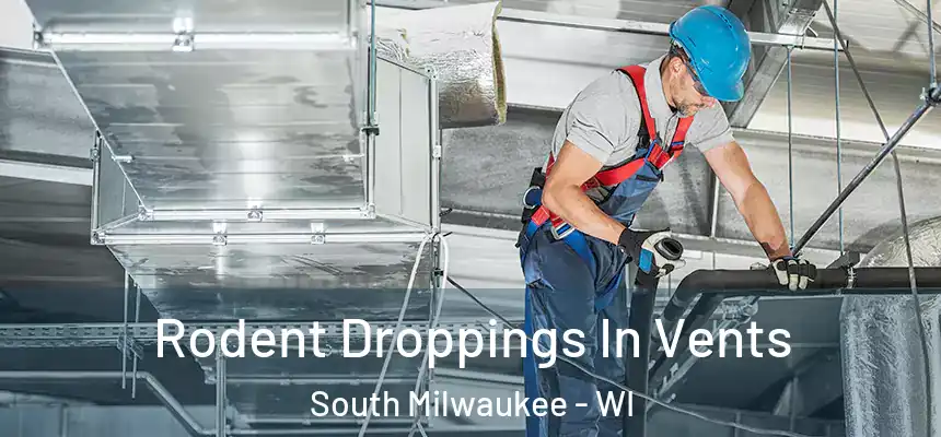  Rodent Droppings In Vents South Milwaukee - WI