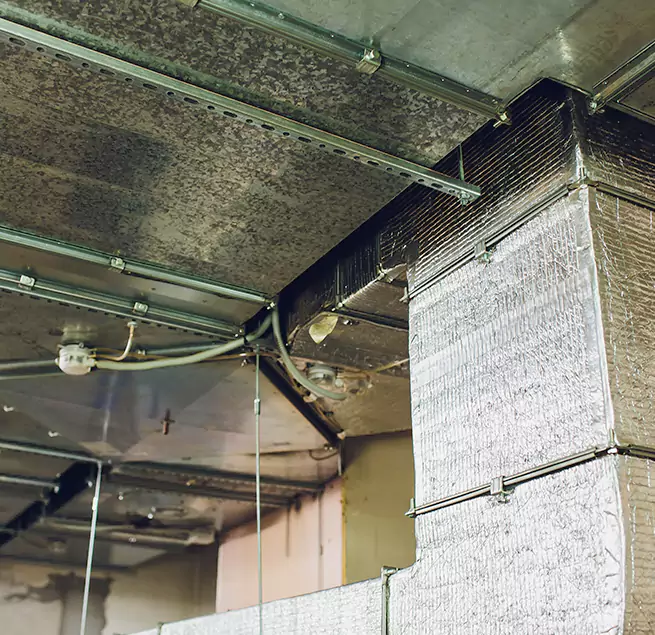 Why Homeowners & Businesses Trust Us in South Milwaukee, WI?